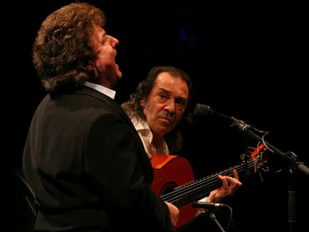 Pepe Habichuela, la mémoire du flamenco s'éteint à Madrid