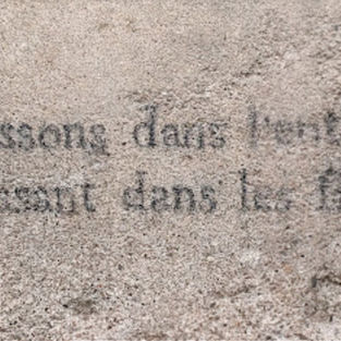 Les magnifiques (chronique pour voir)