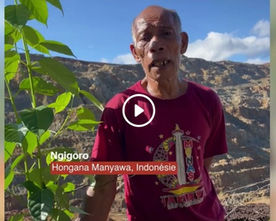 Halmahera–Paris : le cri de Ngigoro contre la « ruée vers le nickel » qui menace son peuple