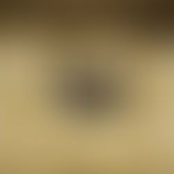 Iran : l'inéluctable révolution. Entretien avec l'écrivain franco-iranien Raphaël-Karim Djavani