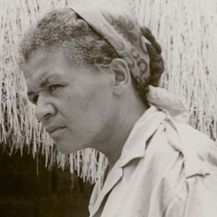 A Salé, au Maroc, les champs de Maldoror