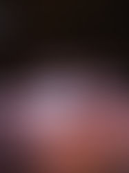 20 décembre. Nous accusons : Donald Trump, criminel contre l'humanité