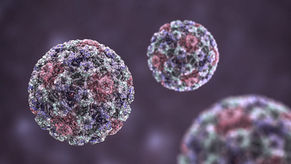 Can Human Papilloma Virus infect Men?