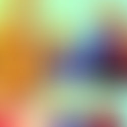 Donald Trump’s NFT Collection Soars to $2.2 Million in Just Days