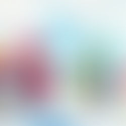 Pudgy Penguins Launch PENGU Token Amidst NFT Market Fluctuations