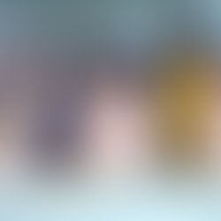 Pudgy Penguins Token and NFTs Plummet After Airdrop