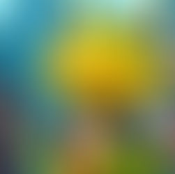 Wall Street Pepe Soars 230% Amidst Alpha Chat Success and NFT Hype