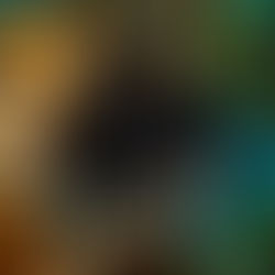 Ethereum ETF Faces Major Outflows Amid Market Shifts