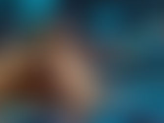 Digital Chamber Urges Congress to Address SEC Actions Against NFTs