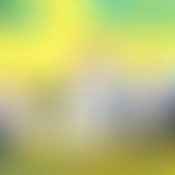 Pudgy Penguins Launches Exciting New YouTube Series: Lil Pudgys