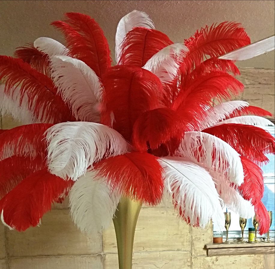 Red and White Feather Rental