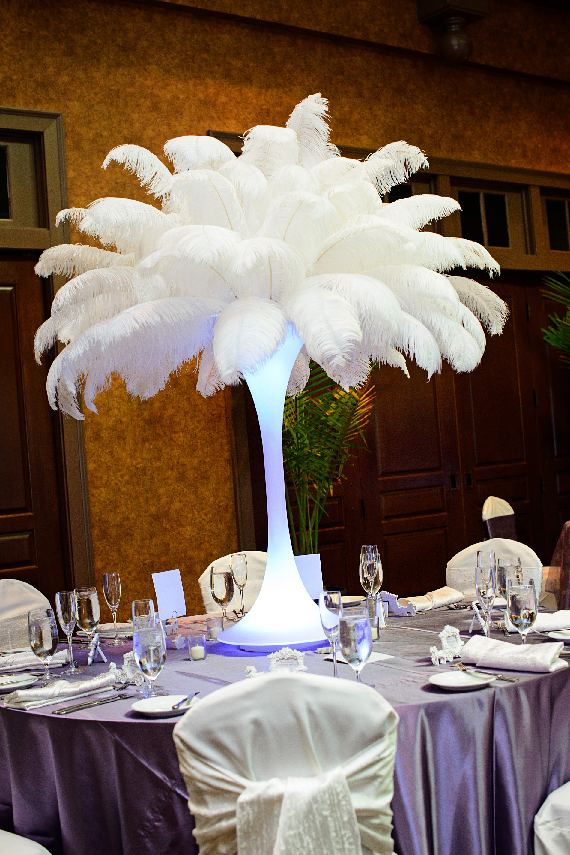 White Ostrich Feathers Rental