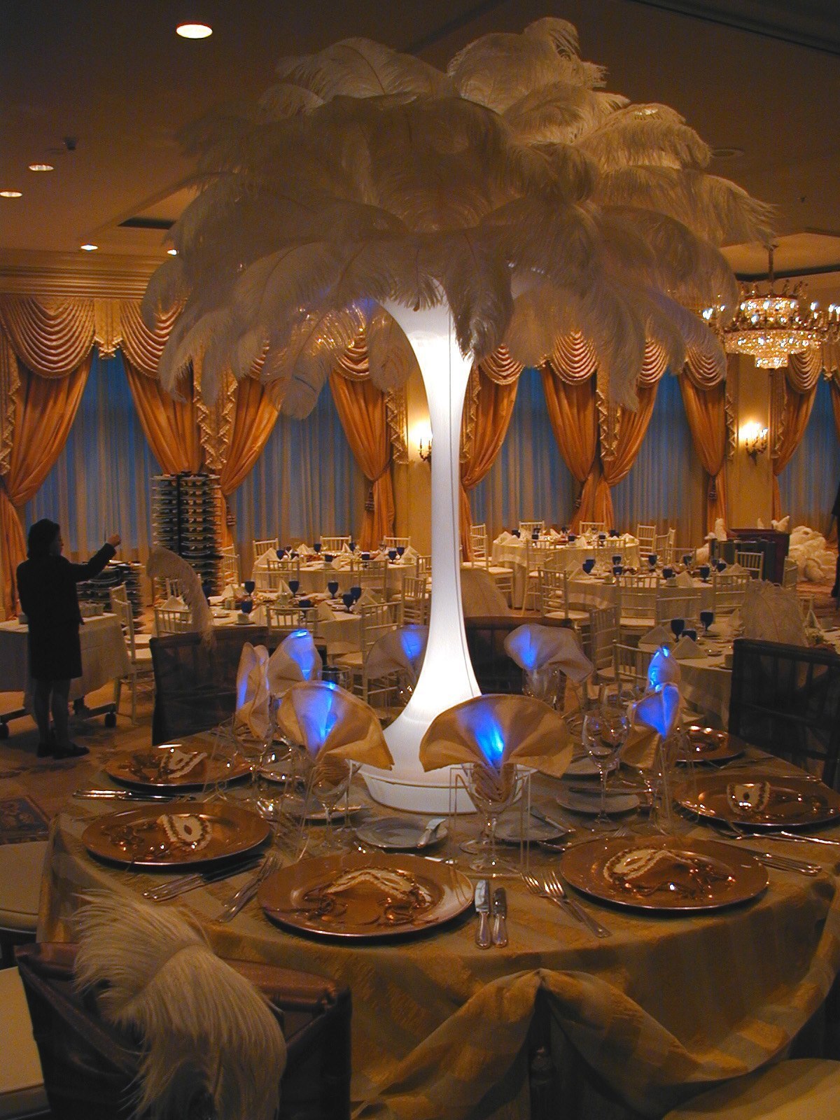 Ostrich Feathers for Event