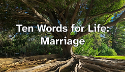 Sermon Title 7.26.png