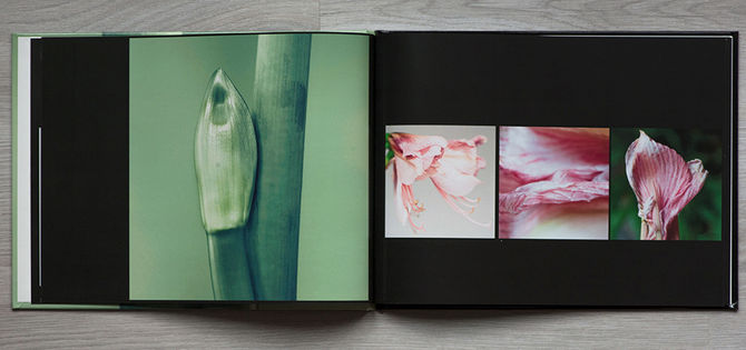 Livre photos: INTIMITÉS