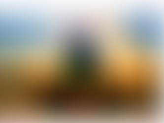 Expérience n'1 sur les effets de la musique modal vibratoire du Barde Adragante le 29-10-2023