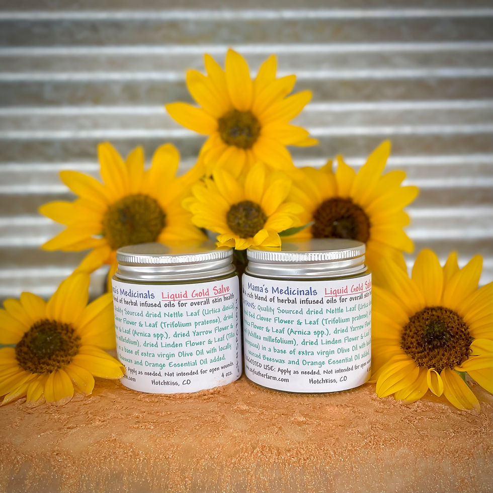Thumbnail: Liquid Gold Salve 4 oz