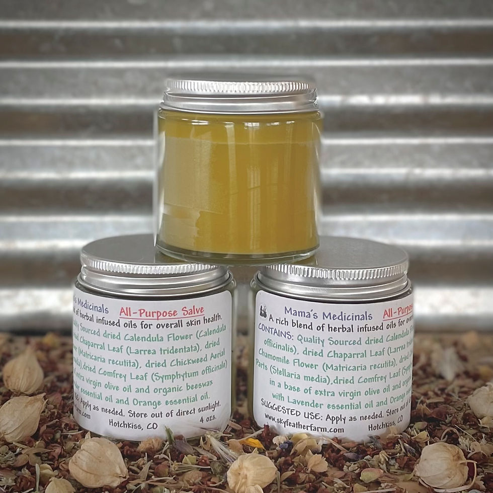 Thumbnail: All-Purpose Salve 4 oz