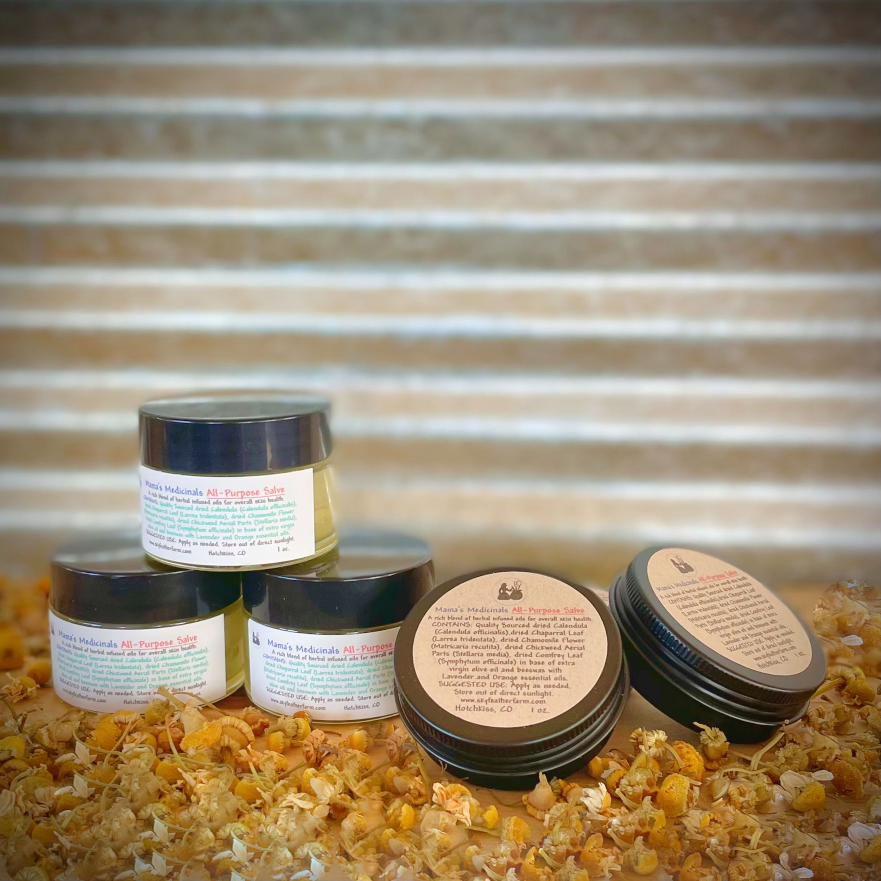 All Purpose Salve 1 oz