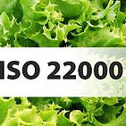 ISO 22000 Consultant, ISO 22000 Certification