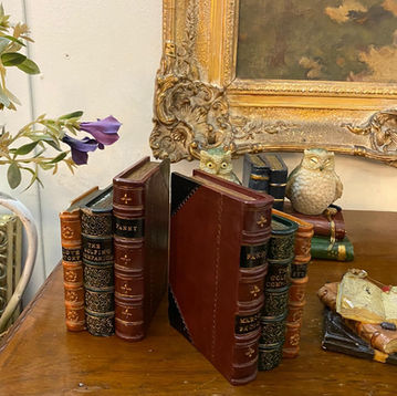 תומכי ספרים שונים ותמונת שמן