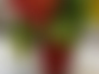 סדנה להכנת עציצי בטון באופקים