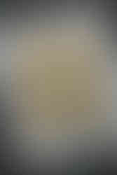 יוצרים ארבעה נחשים