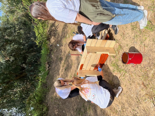 סדנת נגרות - חברת גב מערכות