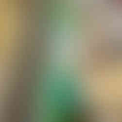 סדנאות פלסטלינה במקלטי חירום