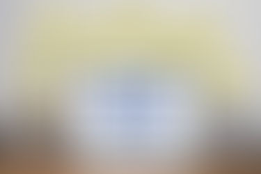 ערכי הליבה של הקידום האורגני ברשת