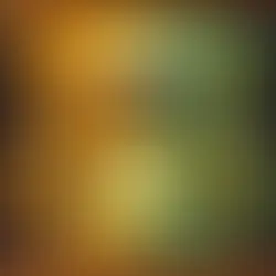 קידום ממומן או קידום אורגני בגוגל