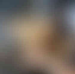 בניית צעצועים