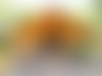 מה הסיפור שלך