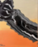 השתקפויות בשקיעה