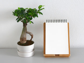 עמוד תקנון באתר