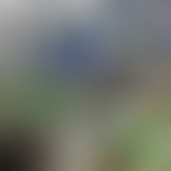 סדנת שזירה עם עובדי מכון ויצמן