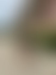 Berlin With The Kids