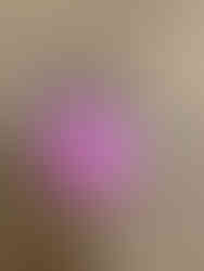 סדנא להכנת קאפקייקס בחסות בנק לאומי