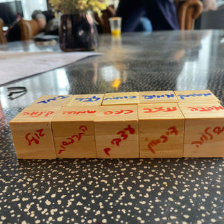 בניית צעצועים