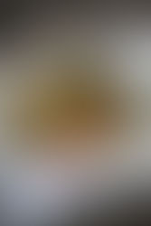 בורקס קונכיות במילוי עוף ופטריות