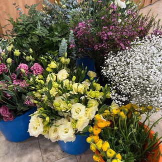 סדנת שזירה לקשישות חורפיש