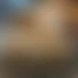 בניית צעצועים