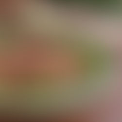 קרפצ'יו תאנים עם פיסטוקים ורימונים