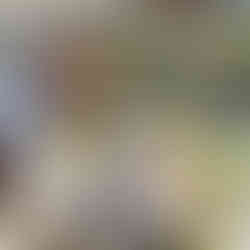 חברת סולארדג' - סדנת הנבטה 