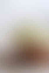 את הכרוב והמלפפונים חותכים ומניחים בקערה נפרדת