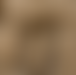 לבקש סליחה… מעצמי