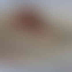 מתכון  נהדר וקל לעוגת גבינה עם שוקולד של טאטי