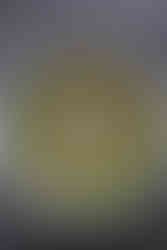 כרוב ממולא אורז ובשר