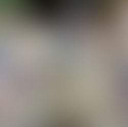 שוברים ומרכיבים מחדש