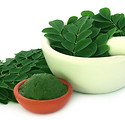 Moringa Leaves.jpg
